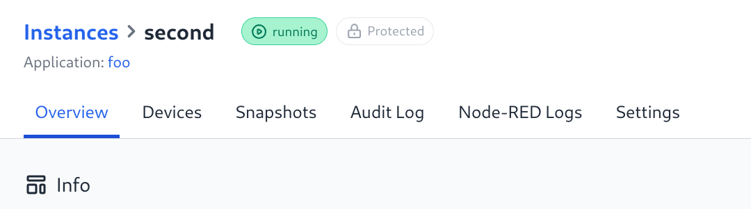 Protected status badge shown next to the instance running state